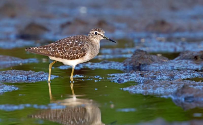 post-77574-0-45908000-1450530435_thumb.j