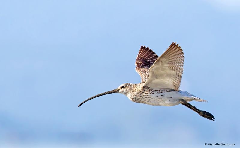 post-77574-0-69558400-1450530387_thumb.j