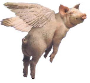 post-92090-0-42156000-1449631983_thumb.j