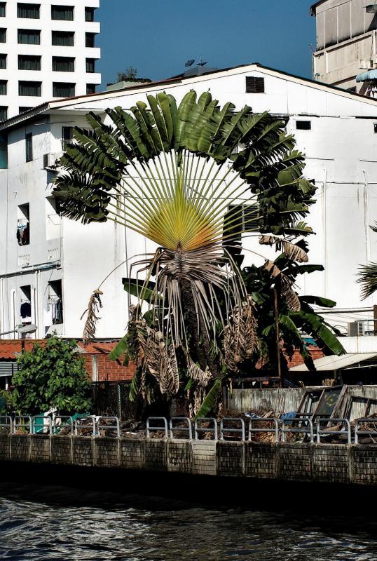 post-93078-0-18726900-1449281682_thumb.j