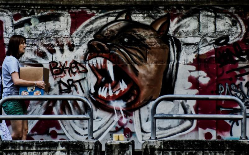 post-93078-0-31651900-1449282387_thumb.j