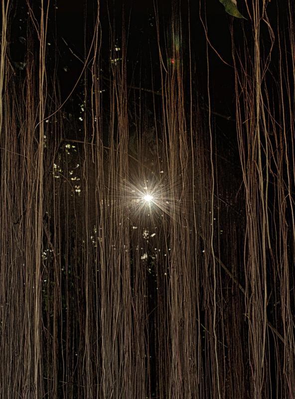 post-93078-0-44796700-1449280974_thumb.j