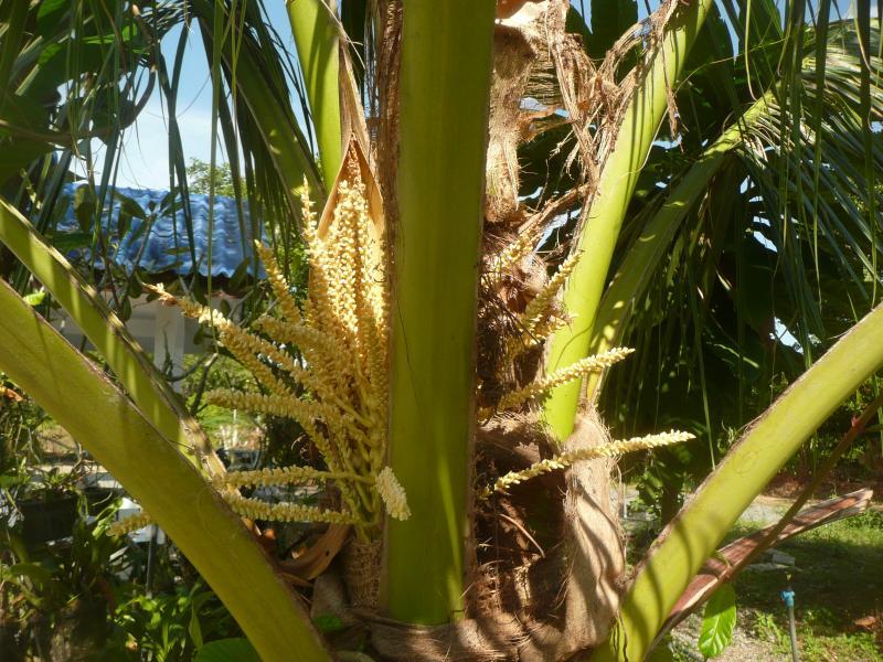 post-94399-0-16886400-1451060394_thumb.j