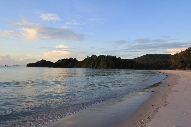 post-95325-0-18825400-1448982023_thumb.j