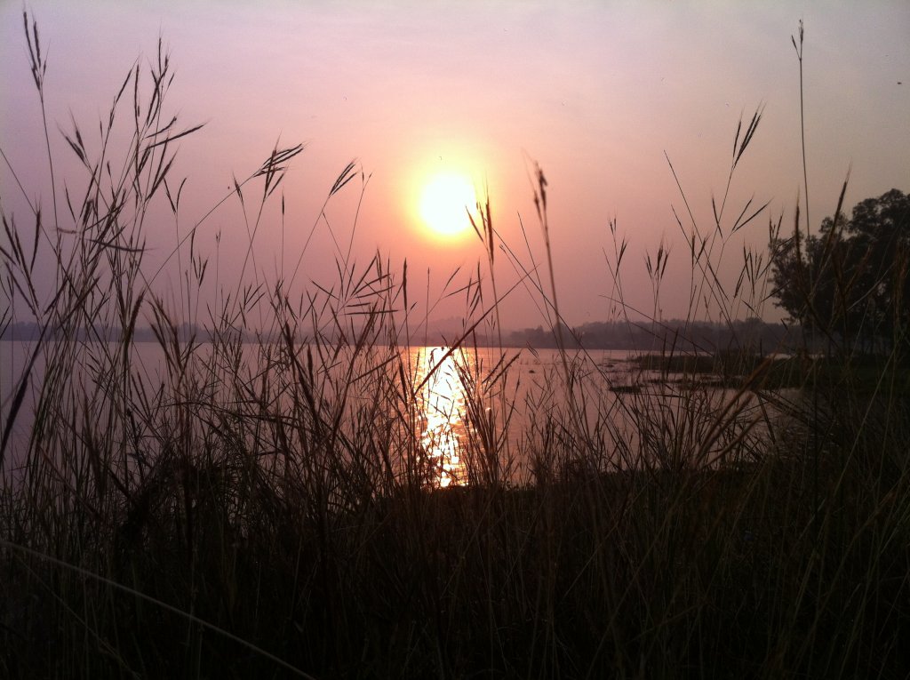 20130222_001448954_iOS.jpg
