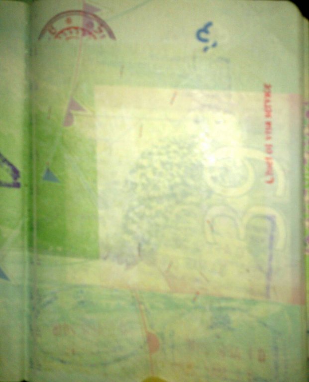475608.jpg