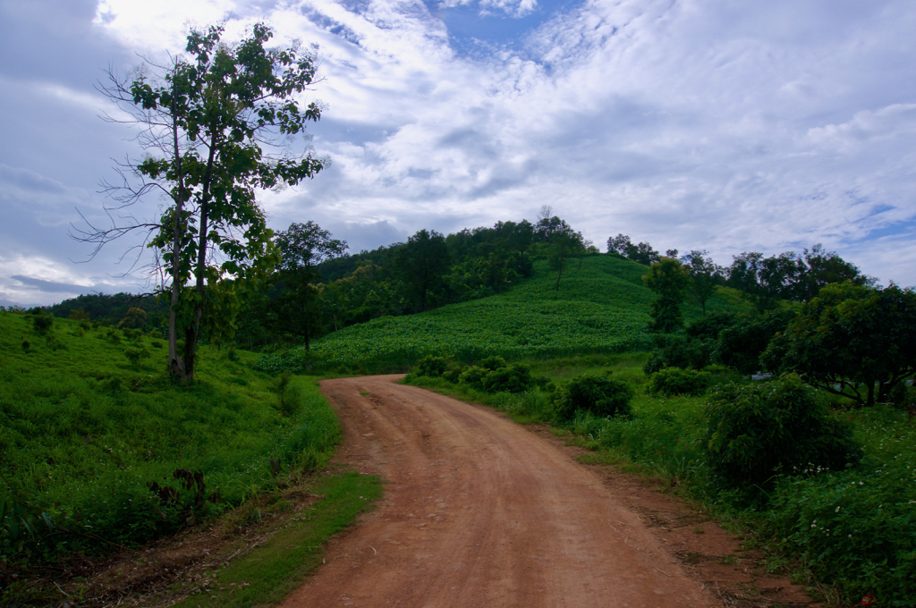 Rai Ruen Rom - 14.jpg