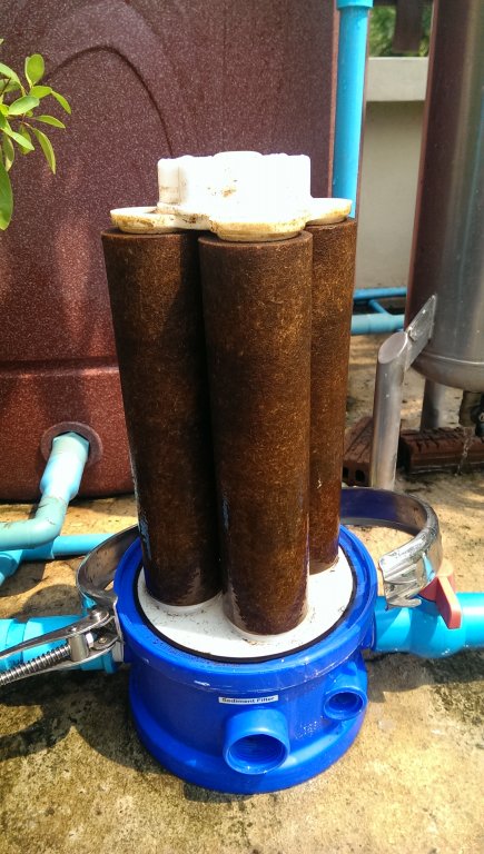 Filter After.jpg