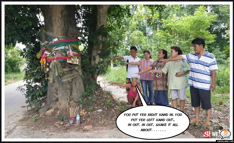 oakie cokie tree.jpg