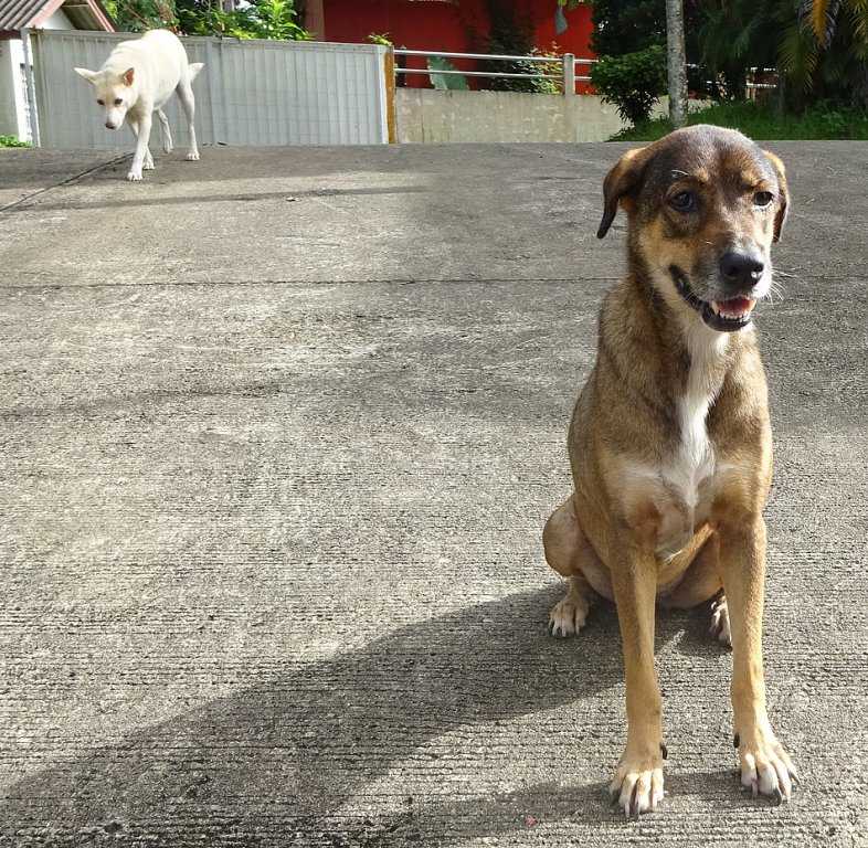 Nuan and Khao DSC05823.JPG