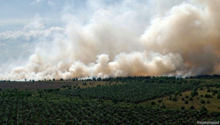5_Haze-wpcf_728x413.jpg