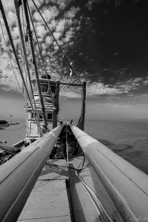 CON_8142bw.jpg