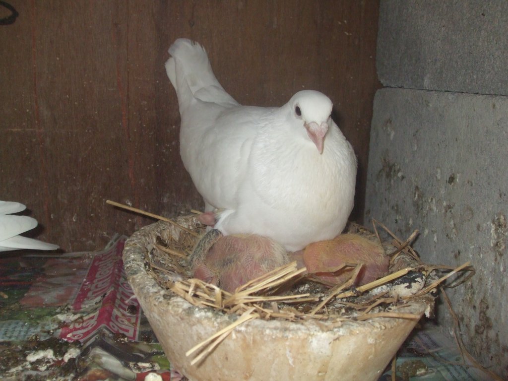 DSCF0752.JPG