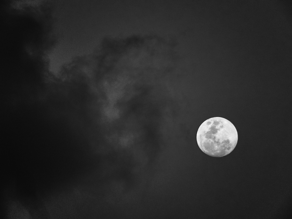 DSCN4460.jpg