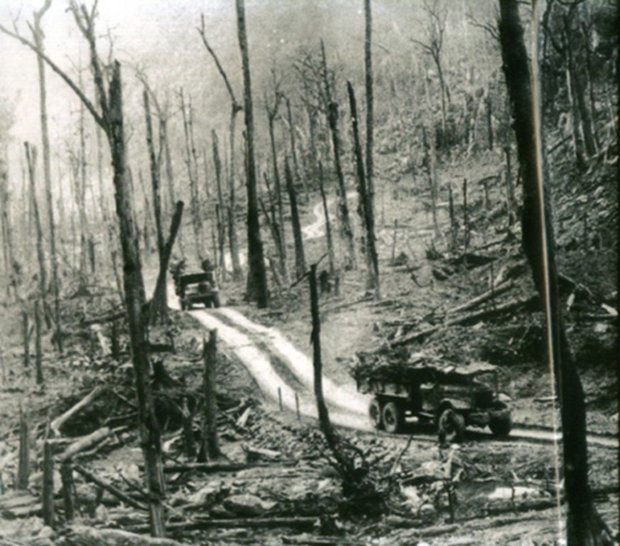 Napalm.jpg