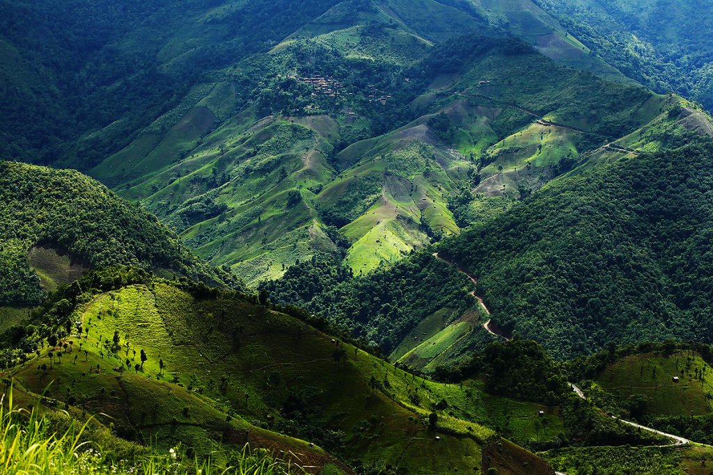landscape.thumb.jpg.91427ec64e2590abdef7