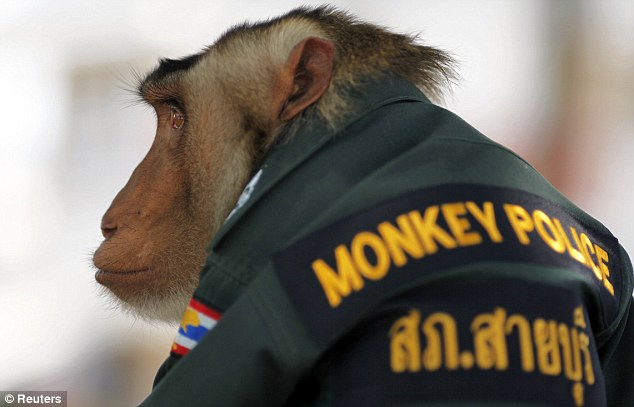 monkey_police.jpg