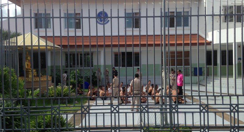 pn1.jpg