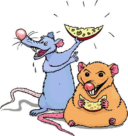 rats.gif