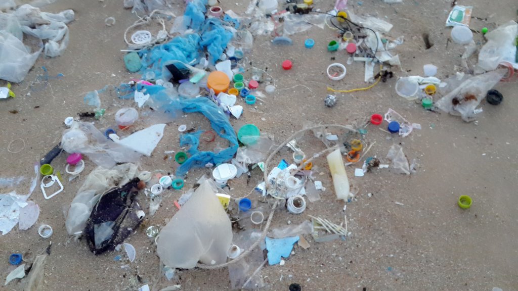 rubbish2.jpg