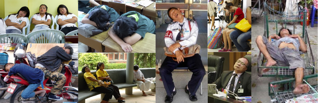 sleeping_thais.png