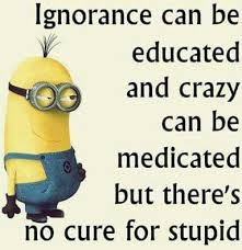 stupid.jpg