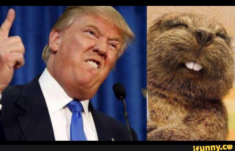trump3.jpg