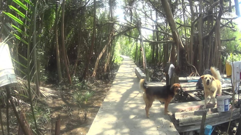 vlcsnap-2016-08-26-09h44m13s41.jpg