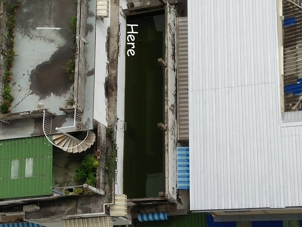 water.thumb.jpg.621b6b80f03e9d214939944a