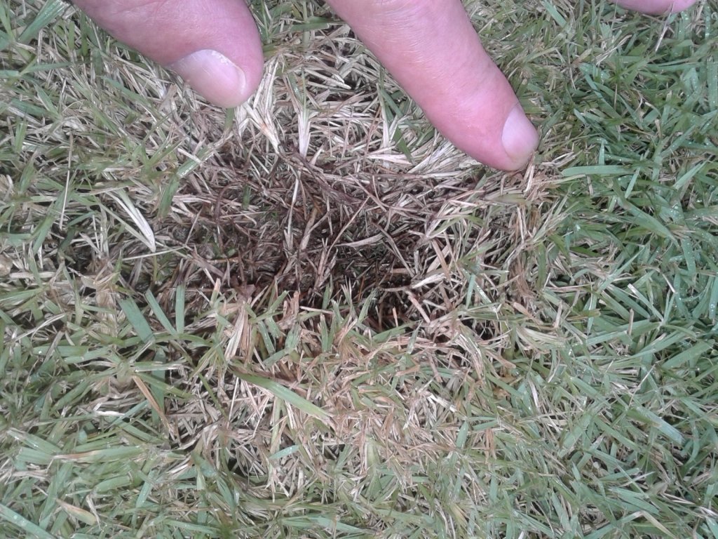 20160918_170411.jpg