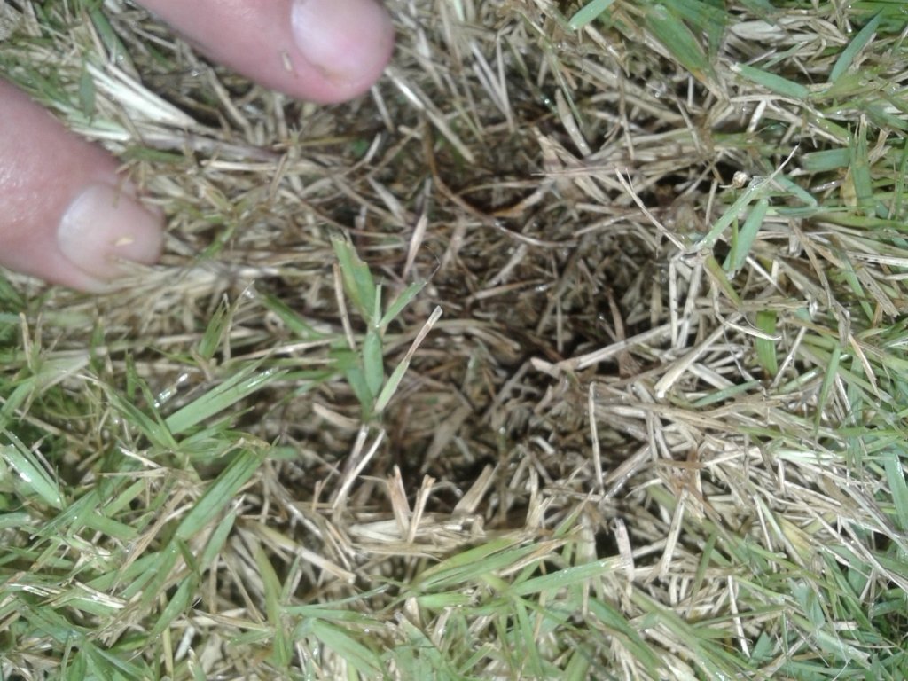 20160918_170427.jpg