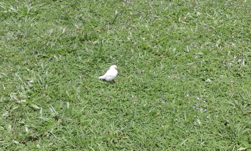 20160924_113518.jpg