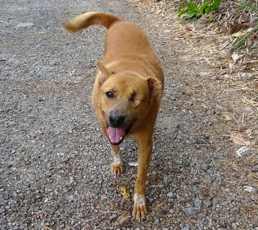 RIP Bod DSC00752.JPG