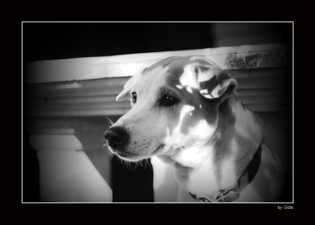 Namcha B&W Full 1600asa.jpg