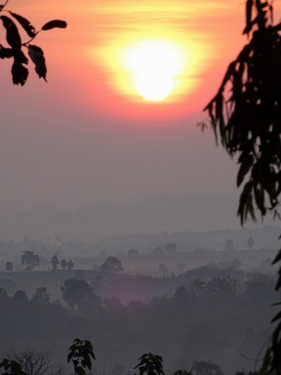 DSC01372 (768x1024).jpg