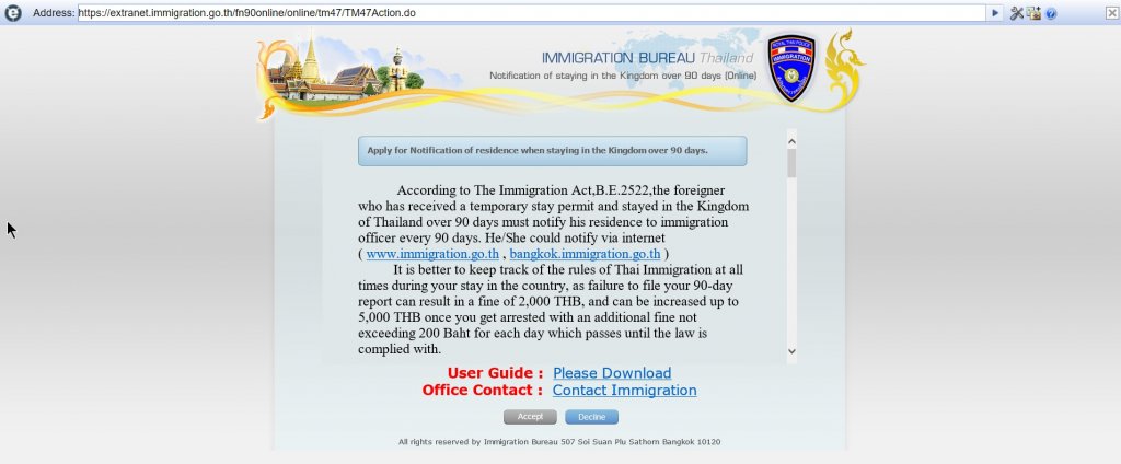 IE tab window.jpg