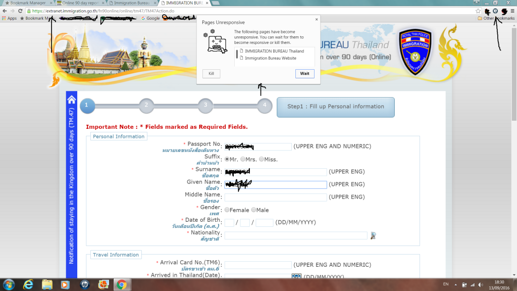 IMM PAGE.png