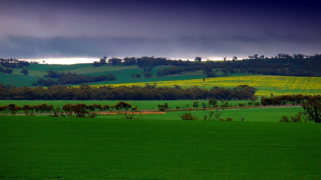 Avon Valley 20.08.15.jpg