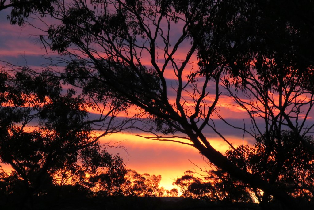 13.09.16 orange n purple  sunset.jpg