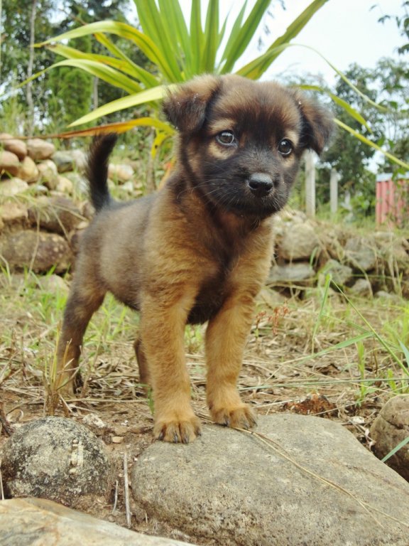 26 Luna 1 (768x1024).jpg