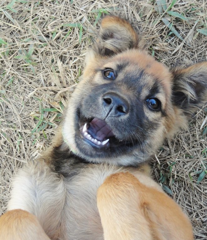 27 Luna 2 (881x1024).jpg