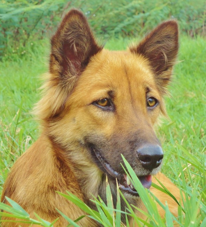 31 Luna 6 (932x1024).jpg