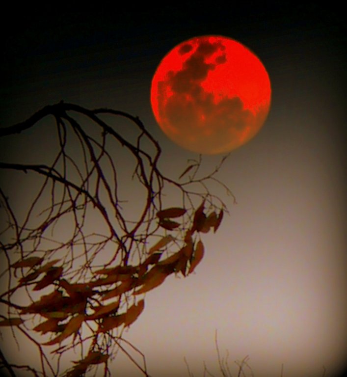 blood moon 28.09.15 2.jpg