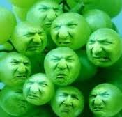 sour grapes.jpg