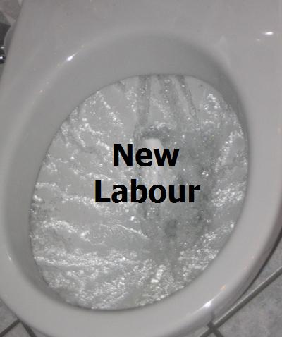 New Labour Flushing_toilet 400.JPG