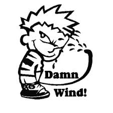 pissing in the wind.jpg
