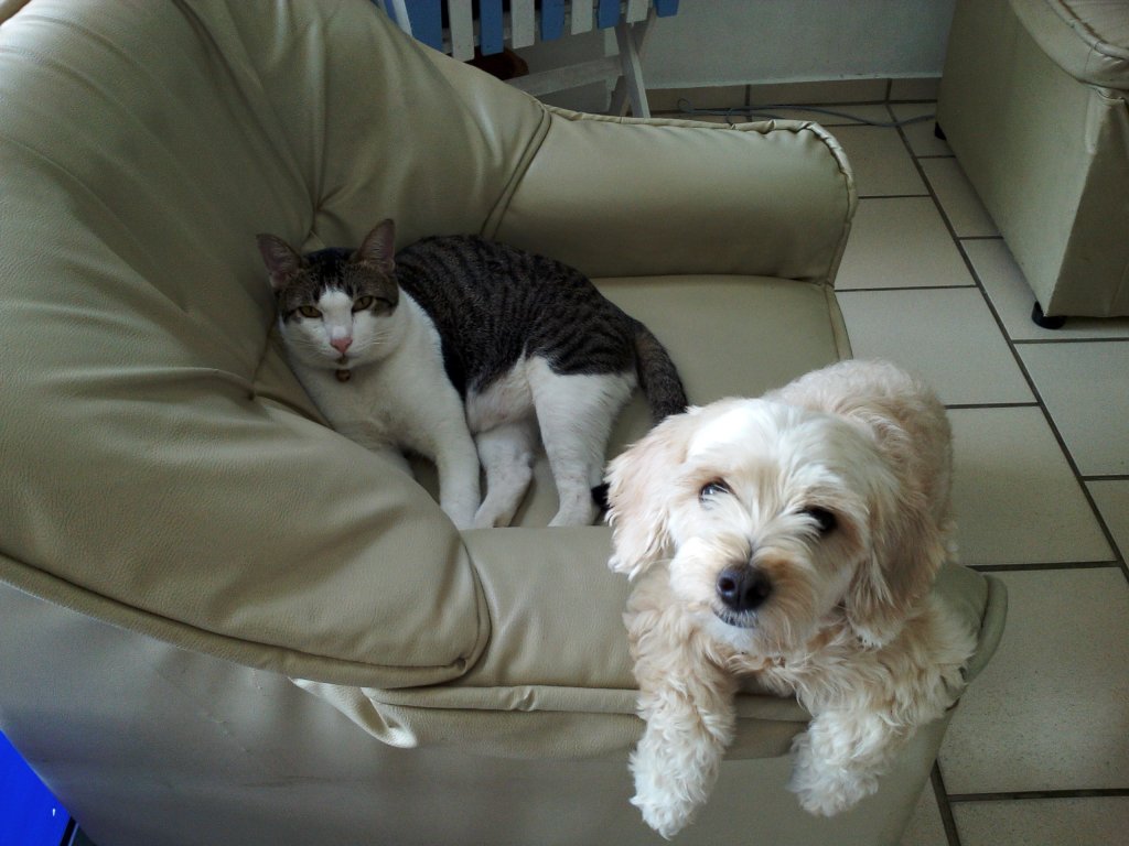 preawan and kitkat.jpg