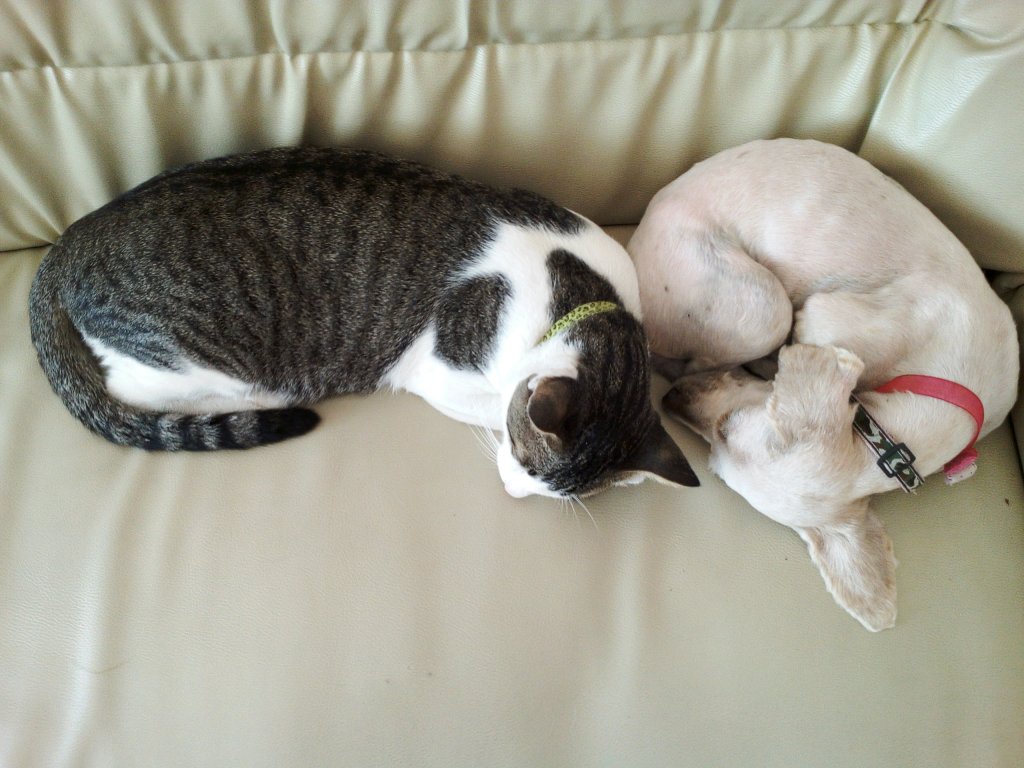 preawan and kitkat2.jpg