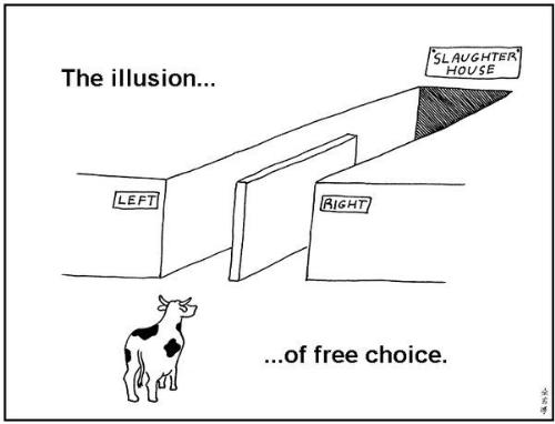 A_choice.jpg
