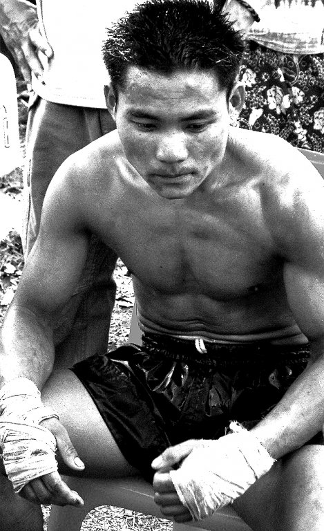 Boxer2.jpg